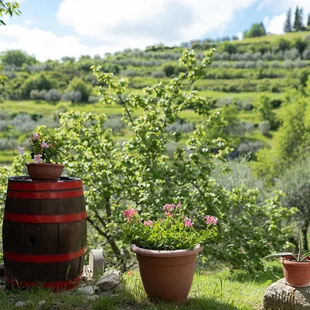 Il Poggiolo * Greve in Chianti